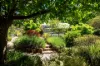 13 Spring Street, Maldon, Vic 3463-Image