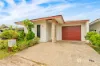 13 Sundew Circuit, Zuccoli, NT 0832-Image