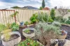 13 Taranto Walk, Secret Harbour, WA 6173-Image