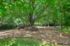 13 Taylor Street, Armidale, NSW 2350-Image