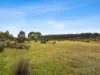 13 Thiessen Crescent, Miena, Tas 7030-Image