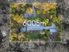 13 Tipuana Drive, Capalaba, Qld 4157-Image