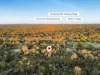 13 Tipuana Drive, Capalaba, Qld 4157-Image