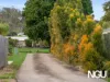 13 Titmarsh Circuit, Fernvale, Qld 4306-Image