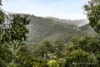 13 Toorak Avenue, The Basin, Vic 3154-Image