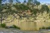 13 Torquay Drive, Lake Tabourie, NSW 2539-Image
