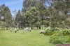 13 Turners Road, Balnarring, Vic 3926-Image