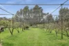 13 Turners Road, Balnarring, Vic 3926-Image
