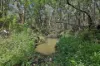 13 Valray Place, Samford Valley, Qld 4520-Image
