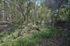 13 Valray Place, Samford Valley, Qld 4520-Image