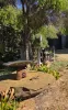 13 Walton Street, Meandarra, Qld 4422-Image