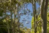 13 Wandearah Avenue, Avalon Beach, NSW 2107-Image