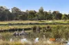 13 Warabin Crescent, Ngunnawal, ACT 2913-Image