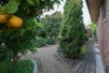 13 Warrenlee Drive, West Albury, NSW 2640-Image