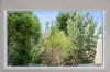 13 Warrin Street, Torquay, Vic 3228-Image