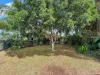13 Wattle Crescent, Moree, NSW 2400-Image