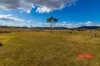 13 William Street, Stratford, NSW 2422-Image