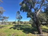13 Willow Drive, Avondale Heights, Vic 3034-Image