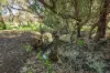 130 Bindoon-Dewars Pool Road, Dewars Pool, WA 6567-Image