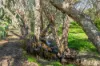 130 Bindoon-Dewars Pool Road, Dewars Pool, WA 6567-Image