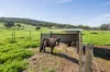 130 Bindoon-Dewars Pool Road, Dewars Pool, WA 6567-Image