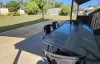 130 Cameron Street, Ayr, Qld 4807-Image