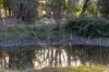130 Fisken Road, Mount Helen, Vic 3350-Image