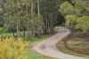130 Hylands Road, Hesket, Vic 3442-Image