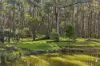 130 Hylands Road, Hesket, Vic 3442-Image