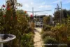 130 Marlborough Street, Longford, Tas 7301-Image