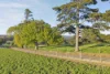 130 Morrisons Road, Springmount, Vic 3364-Image
