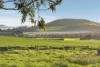 130 Morrisons Road, Springmount, Vic 3364-Image
