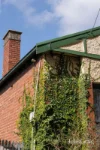 130 Pearson Street, Brunswick West, Vic 3055-Image