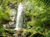130 Snug Falls Road, Snug, Tas 7054-Image
