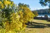 130 Sommers Bay Road, Murdunna, Tas 7178-Image