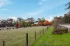130 Stonier Road, Napoleons, Vic 3352-Image