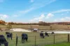 130 Stonier Road, Napoleons, Vic 3352-Image