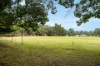 1307b Bull Creek Road, Ashbourne, SA 5157-Image