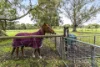 131 Feast Road, Serpentine, WA 6125-Image