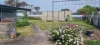 131 Foreshore Road, Kelso, Tas 7270-Image