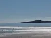 131 Foreshore Road, Kelso, Tas 7270-Image