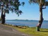 131 Foreshore Road, Kelso, Tas 7270-Image