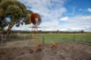 131 Hillside Road, Minigin, WA 6312-Image