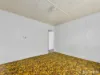 131 Macquarie Street, George Town, Tas 7253-Image