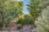 131 Old Blanchetown Road, Waikerie, SA 5330-Image