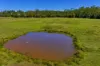131 Old Goomboorian Road, Veteran, Qld 4570-Image