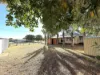 131 Yew Street, Barcaldine QLD 4725-Image