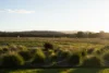 1313 Greens Beach Road, Kelso, Tas 7270-Image