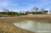 13150 Tasman Highway, Swansea, Tas 7190-Image