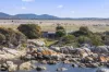 1316 Gardens Road, The Gardens, Tas 7216